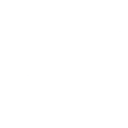 C++